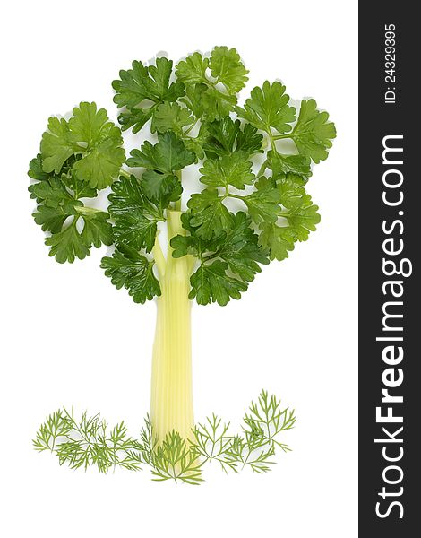 Tree of parsley and celery stalks with a lawn grass