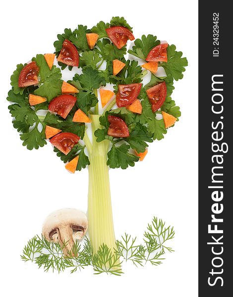 Tree of parsley and celery