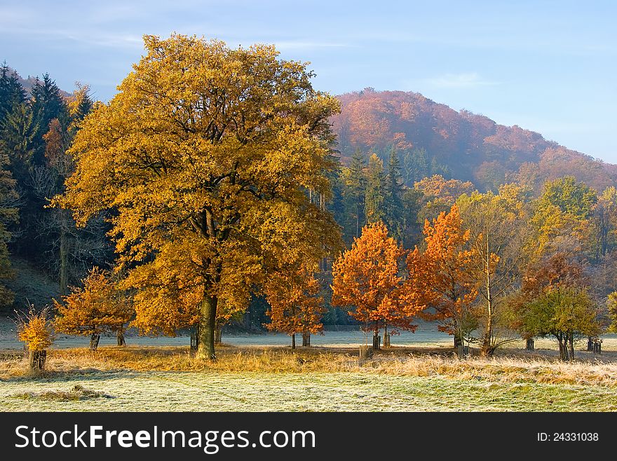 Beautiful autumn landscape with coloured trees