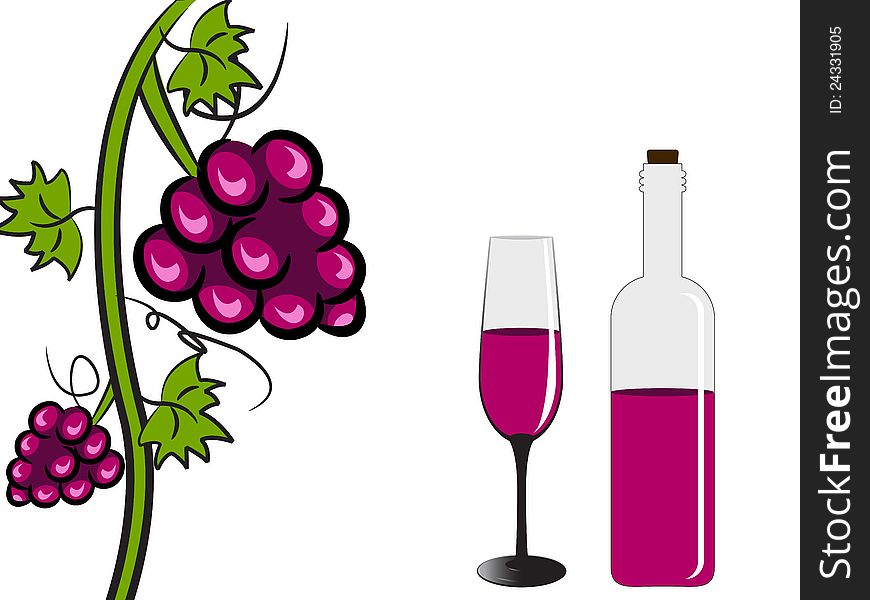 Grapevine, glass of wine, bottle. Grapevine, glass of wine, bottle