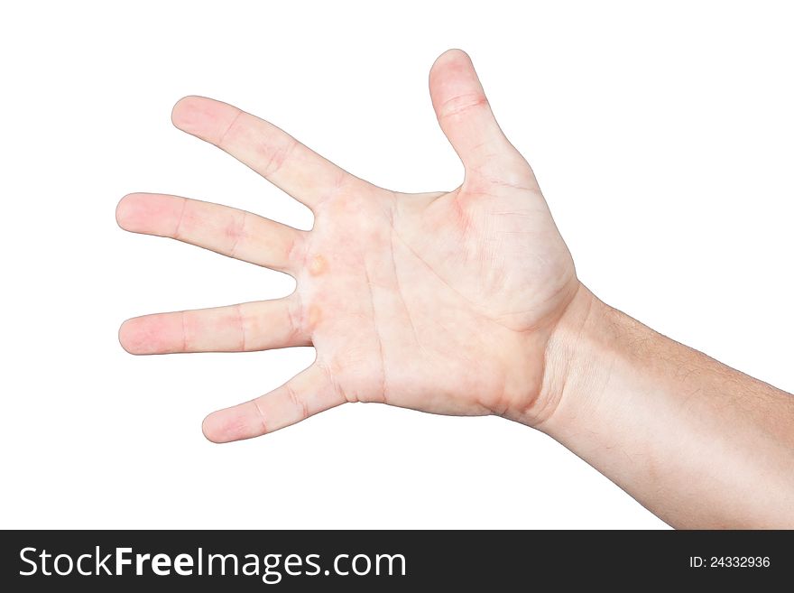 Men's palm, hand, arm. On a white background. Men's palm, hand, arm. On a white background.