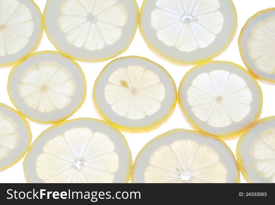 Group raws lemon slices close to the light.