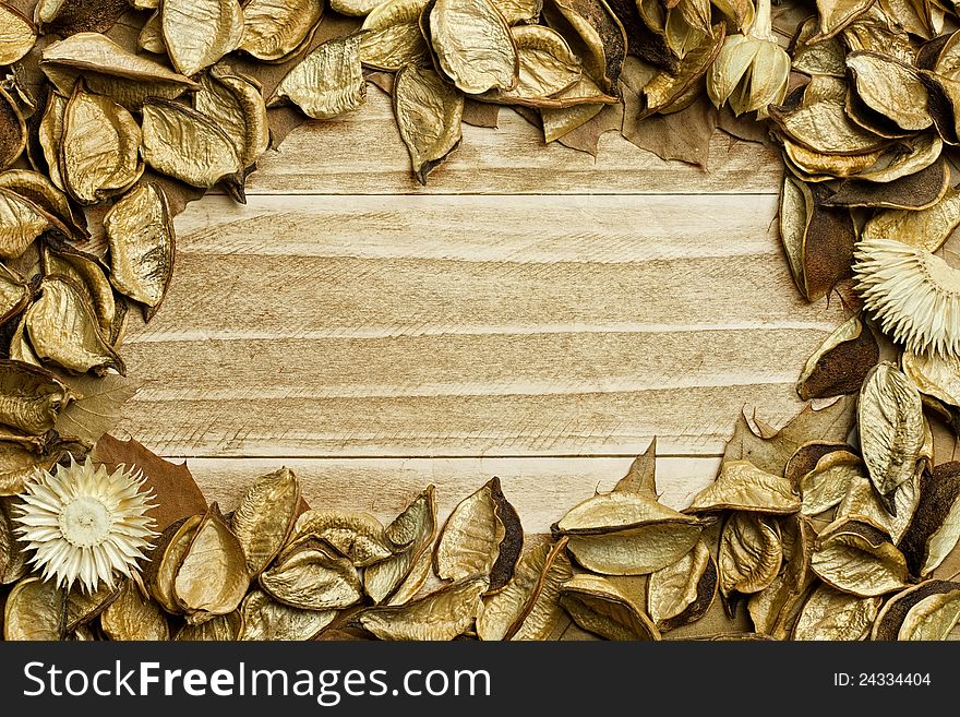 Autumn background with dried flowers