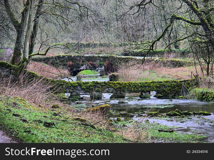 Moss Covered Bridges Over A Small River