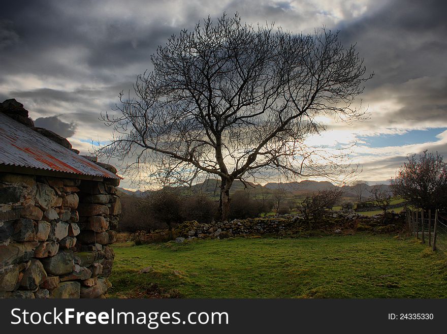 A tree in a field under a moody sky next to a stone building. A tree in a field under a moody sky next to a stone building