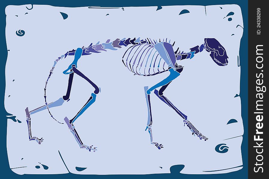 Side view of cat skeleton- blue bones with blue background