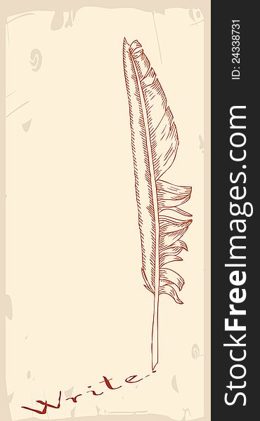 Writing Feather Background