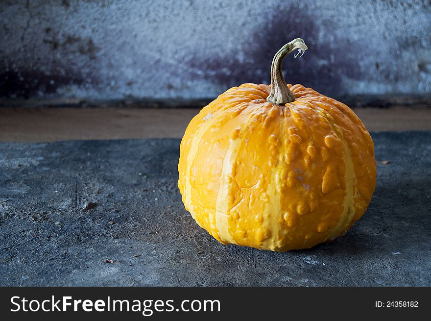 Yellow squash in front of concrete wall.