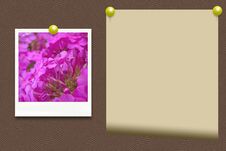 An Old Photo Of Flowers And Paper Royalty Free Stock Images An Old Photo Of Flowers And Paper Royalty Free Stock Images