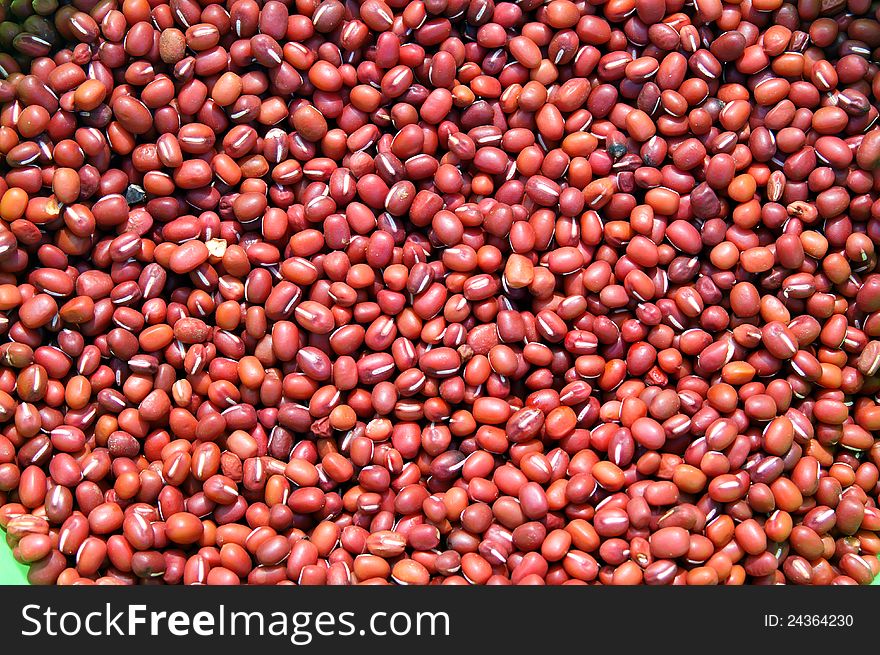 Red Bean Adzuki - Vigna Angularis. Red Bean Adzuki - Vigna Angularis