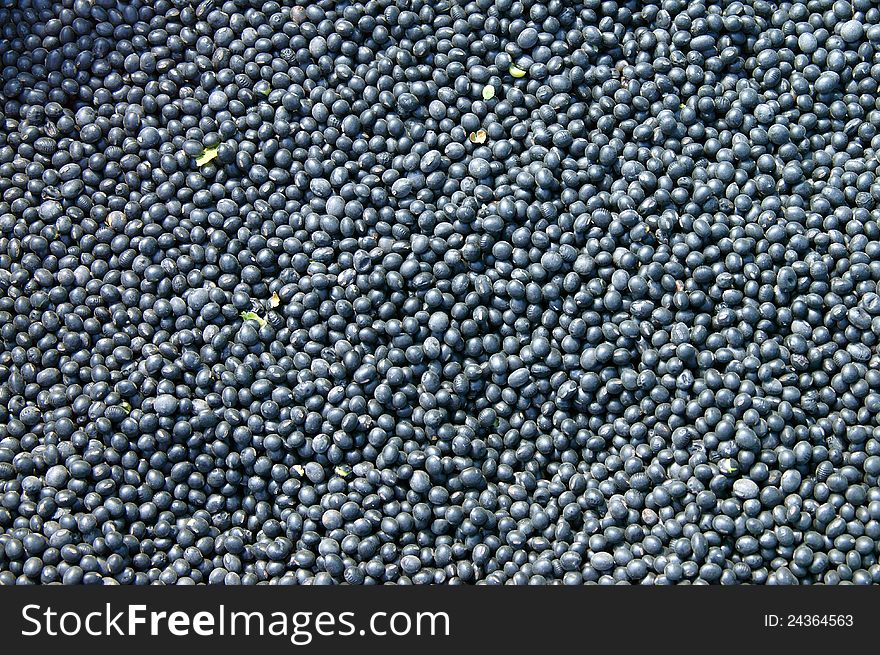 Texture of small black beans. Image of raw food