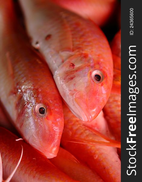 Photo of Red Snapper on a wet market. Photo of Red Snapper on a wet market