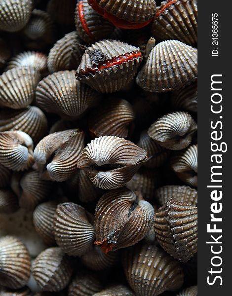 Bunch of Clam, usually seen on the wet markets in Asia. Bunch of Clam, usually seen on the wet markets in Asia