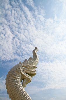 White Serpent Royalty Free Stock Photo White Serpent Royalty Free Stock Photo