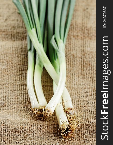 Fresh spring onion prepared as cooking ingredient