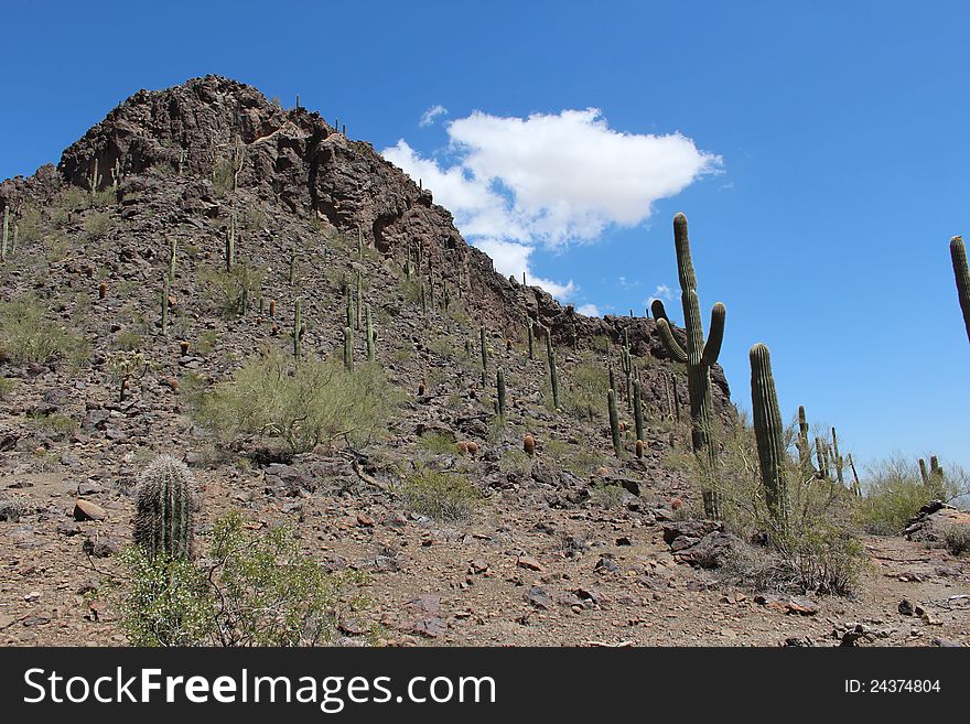 Picacho Peak Arizona Desert Landscape