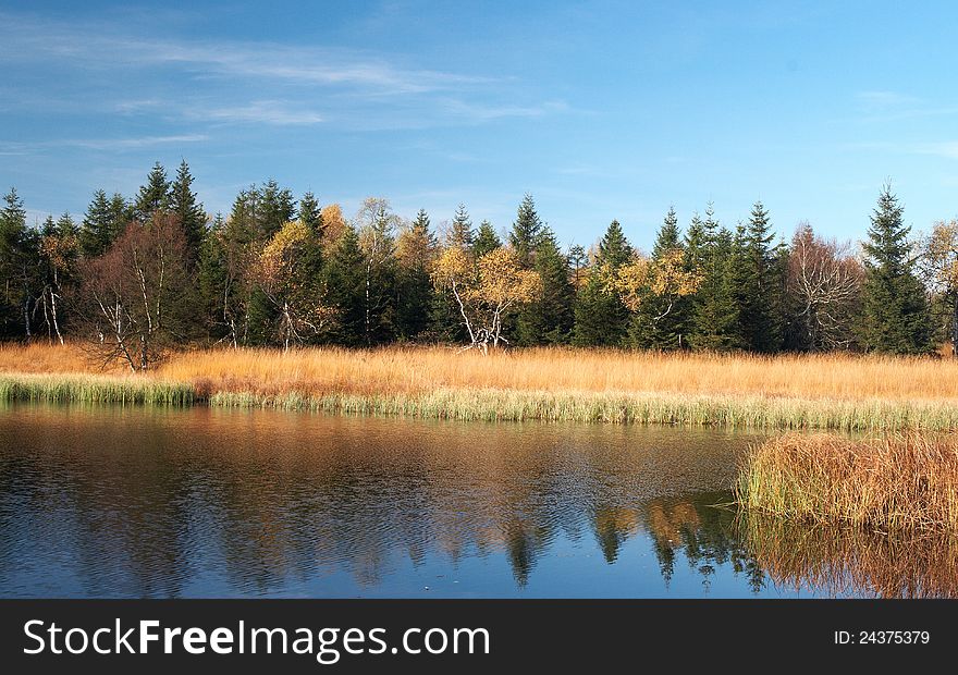 A view to the Black Pond at Kliny - Czech Republic. A view to the Black Pond at Kliny - Czech Republic