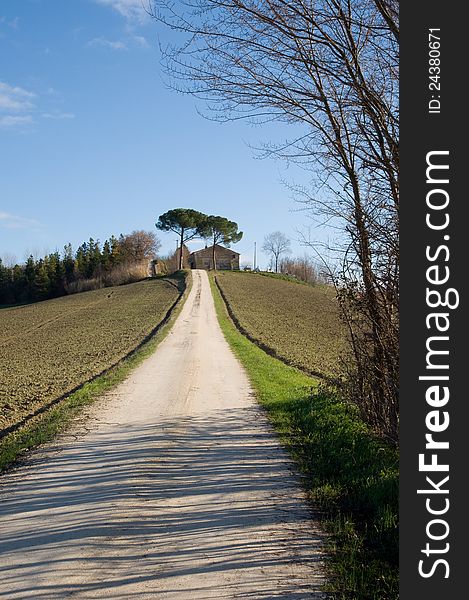 Typical landscape in val of Recanati. Region Marche, Italy. Typical landscape in val of Recanati. Region Marche, Italy