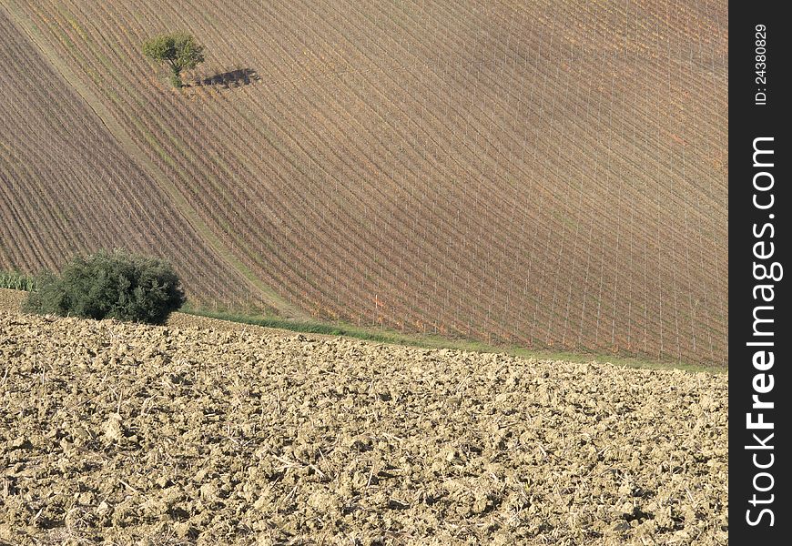 Farm In Val Of Recanati, Italy