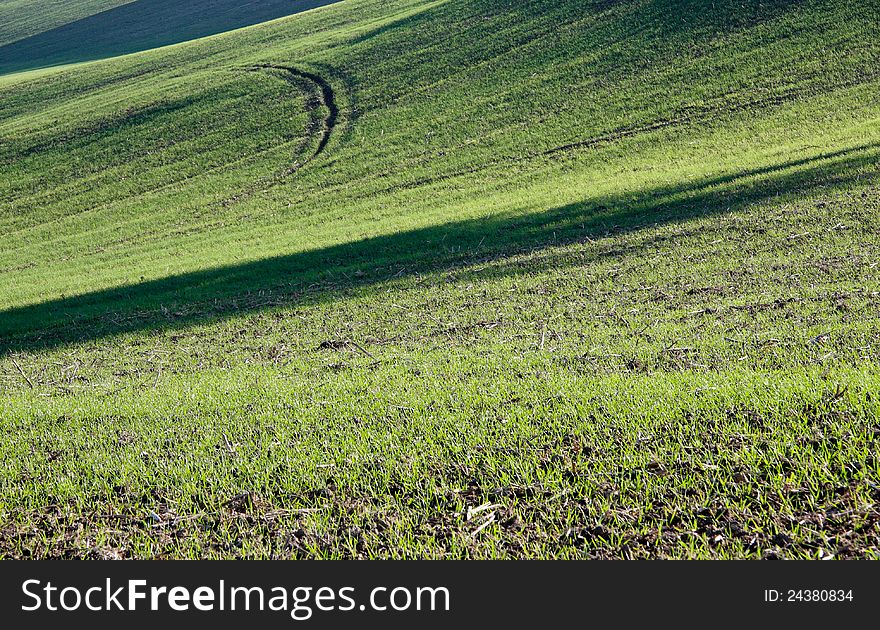 Typical landscape in val of Recanati. Region Marche, Italy. Typical landscape in val of Recanati. Region Marche, Italy.