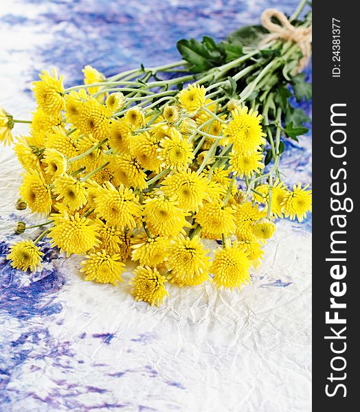 Yellow small spring flowers on a blue paper background. Yellow small spring flowers on a blue paper background