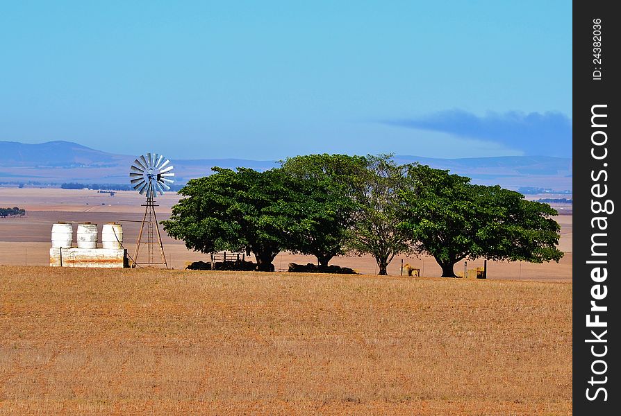 Landscape with water pump windmill on cattle farm westerncape south africa