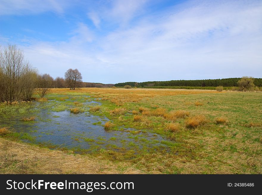 Meadow in the early spring. Meadow in the early spring