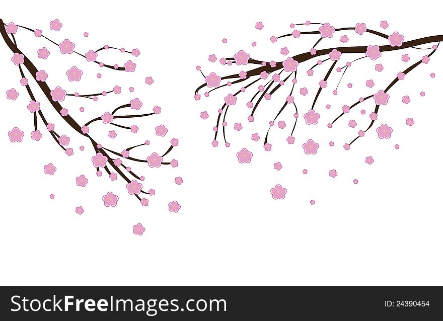 Illustration of a Cherry blossom in spring time