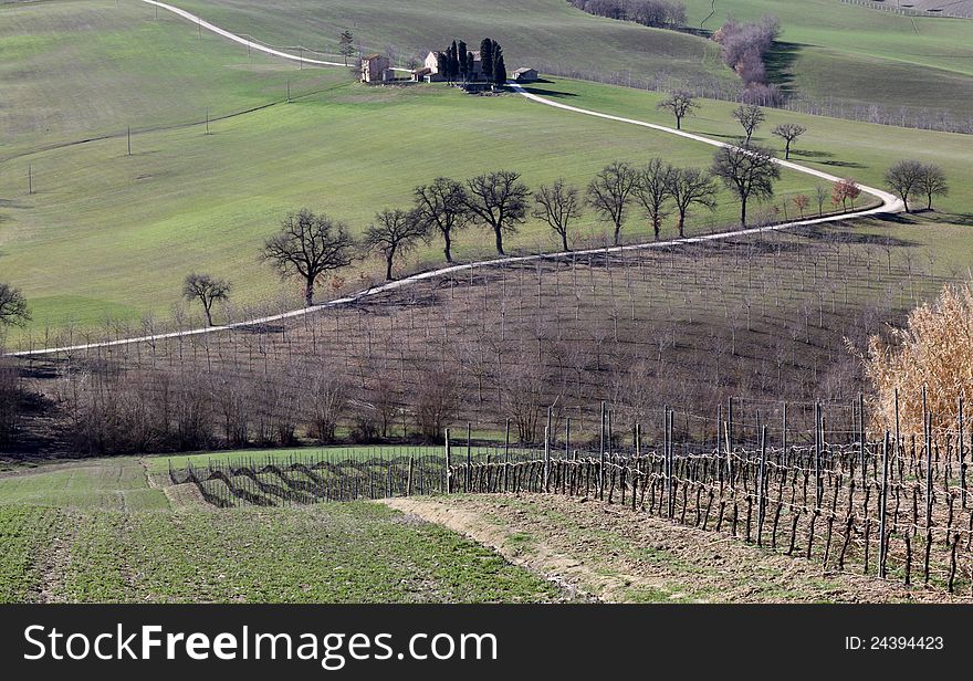 Typical landscape in val of Recanati (Region Marche Italy). Typical landscape in val of Recanati (Region Marche Italy)