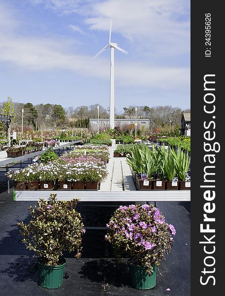 A flower nursery uses a wind driven turbine to produce 80% of its power needs. A flower nursery uses a wind driven turbine to produce 80% of its power needs