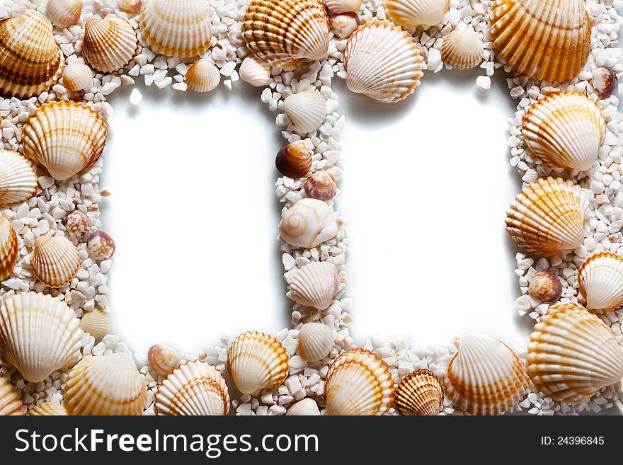 Frame for your photos. shells on white background