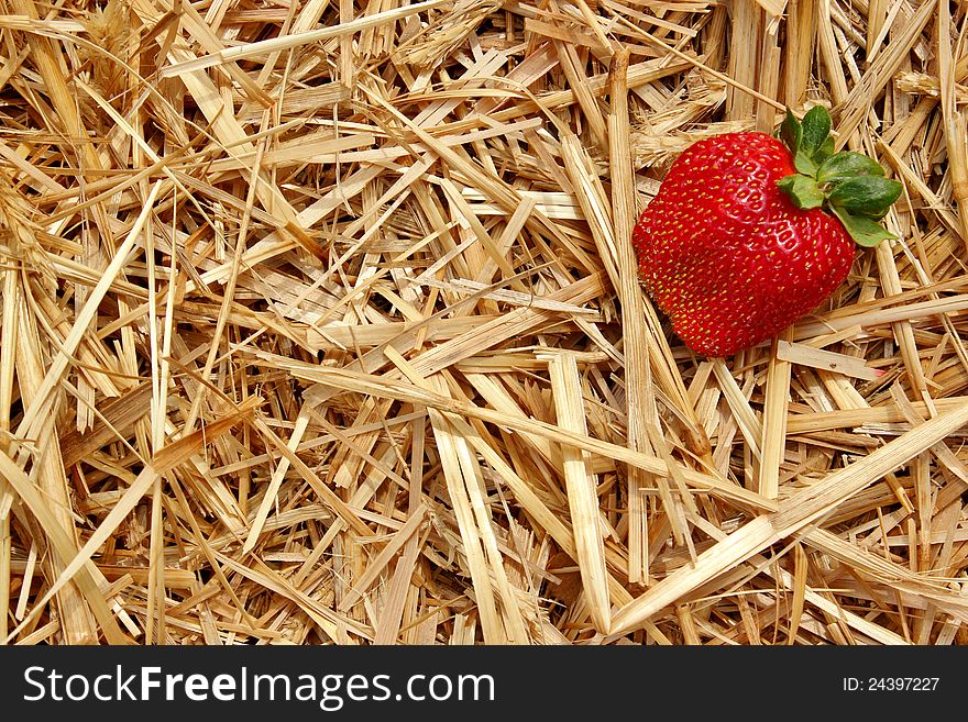 Strawberry On Straw