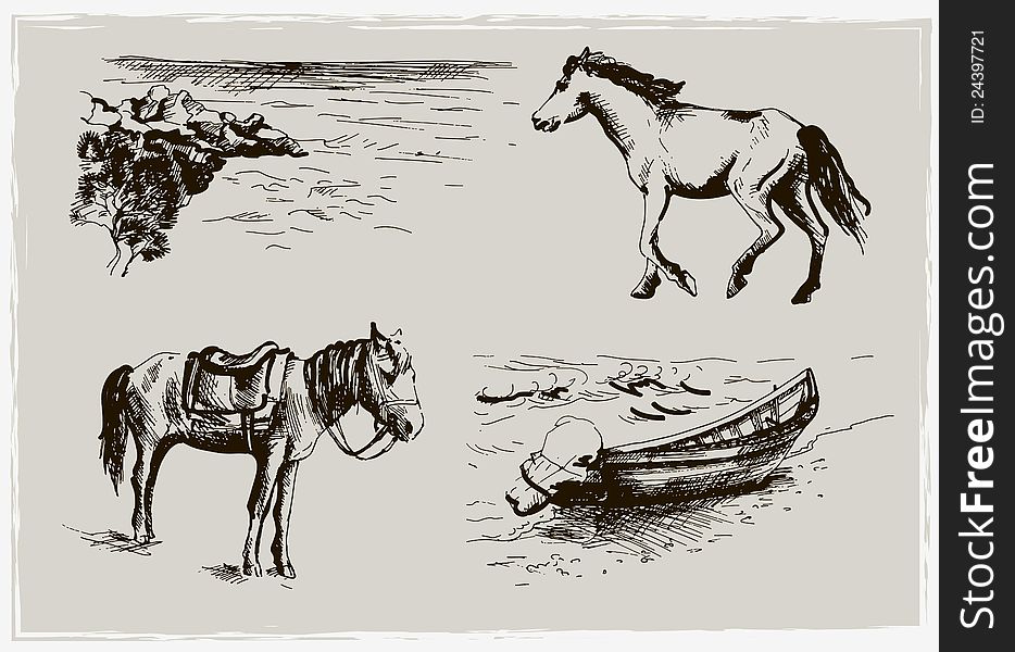 Horse and beach. Set of  sketching