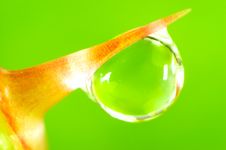 Water Drop Stock Image Water Drop Stock Image