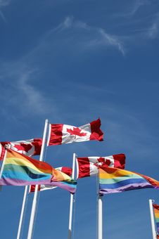 Canadian Pride Flags Royalty Free Stock Image Canadian Pride Flags Royalty Free Stock Image