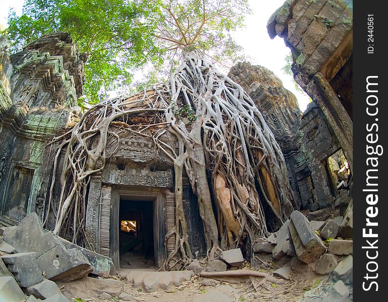 Ta Prohm Doorway