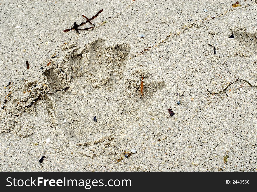 Trace on sand