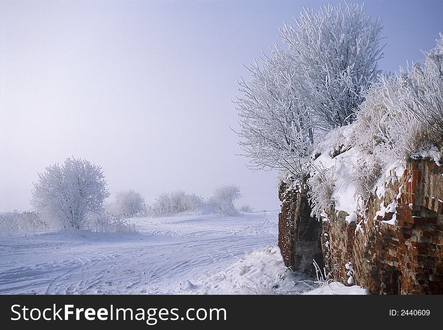 Frozen winter trees with ice and snow. Frozen winter trees with ice and snow