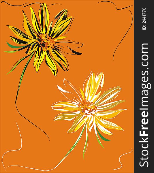 Flowers composition illustration hand made