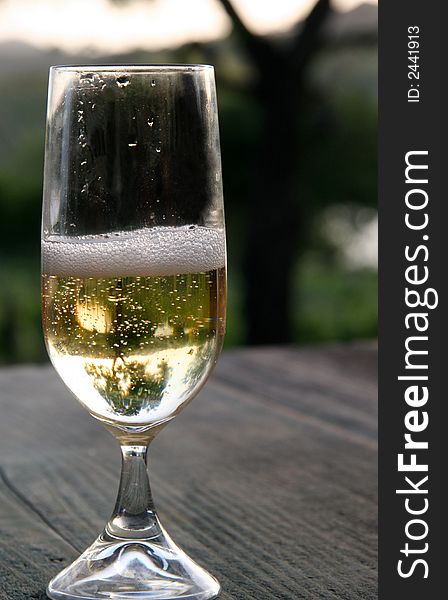 Glass of champagne half full with oak tree reflection