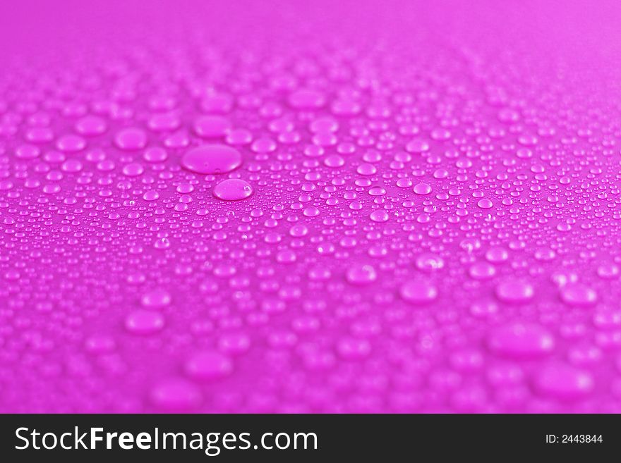 Water Drops On Pink