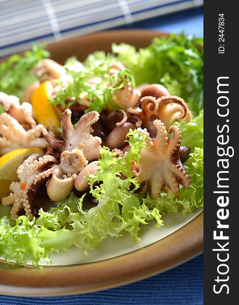 Small squids with fresh lettuce and lemon