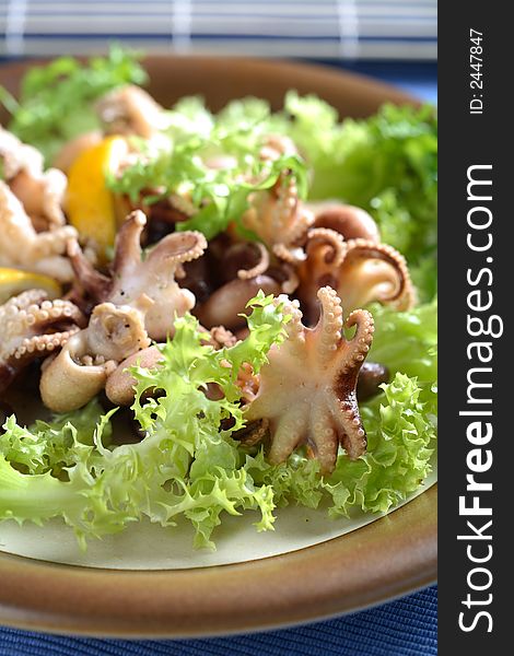 Squids, lettuce and lemon on the plate