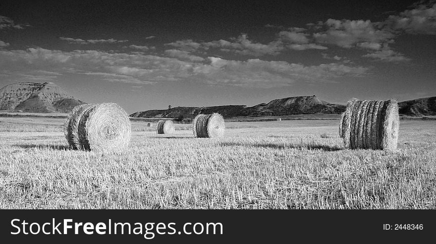 Field of hay bales after harvesting converted in Black and white to give a more dramatic effect