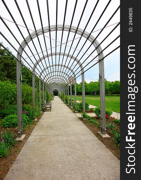 A picture of a flower arch in the early spring. A picture of a flower arch in the early spring