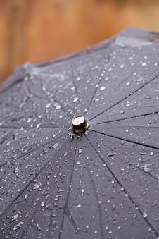 Wet Umbrella Stock Photo