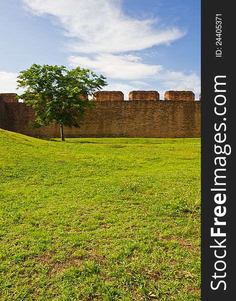 Ancient Laterite Wall