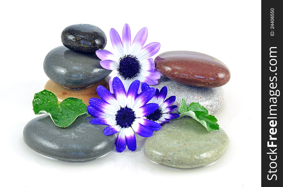 Zen stones in shallow pool