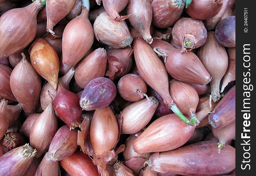 View of pearl onion in the market.