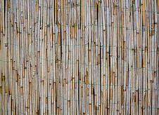 Old Bamboo / Reed Texture Stock Images Old Bamboo / Reed Texture Stock Images